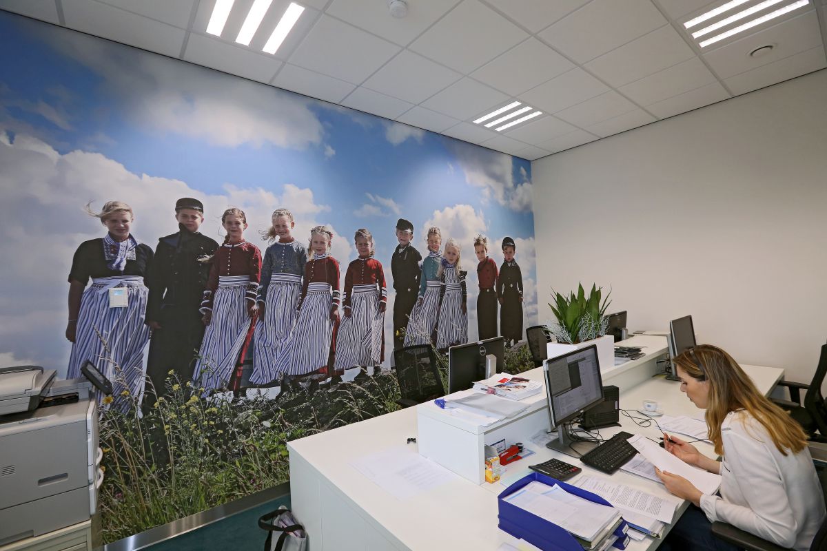 Fotobehang in kantoor Molenaar & Zwarthoed Adviseurs