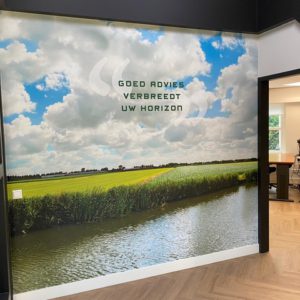 fotobehang Klaver
