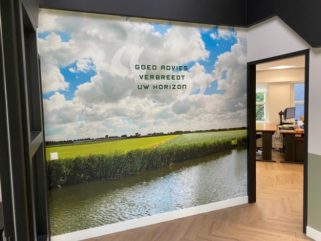 fotobehang Klaver